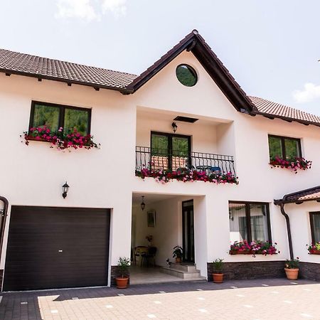 Vila Rodica Transalpina Şugag Exterior foto